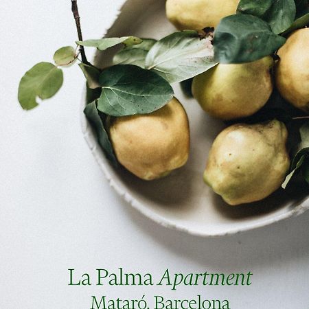 Apartamento Atico En El Casco Antiguo 마타로 외부 사진